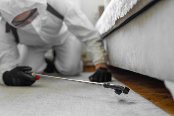 Professional Bed Bug Control technician working in Woodbridge, VA