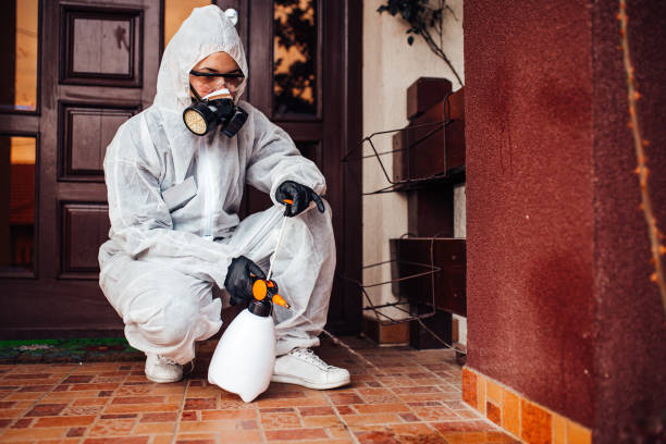 Reliable Bed Bug Control contractor in Woodbridge, VA by Nex Pest Control