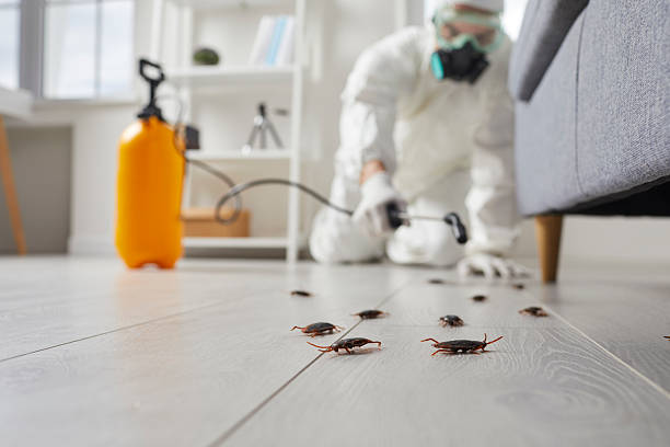 Trusted Cockroach Control service in Woodbridge, VA - Nex Pest Control