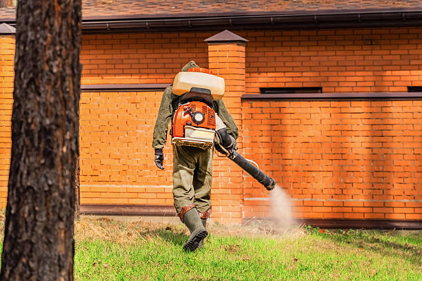 Trusted Bed Bug Control service in Woodbridge, VA - Nex Pest Control